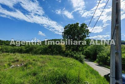 Teren de 4870 mp, în Vulcan - 4