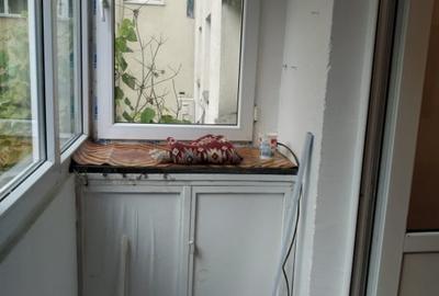 Apartament 3 camere langa Parcul Circului - 3