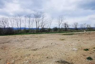 Teren investitie dezvoltator imobiliar km 7 Calea Caransebesului 20 euro negociabil - 3
