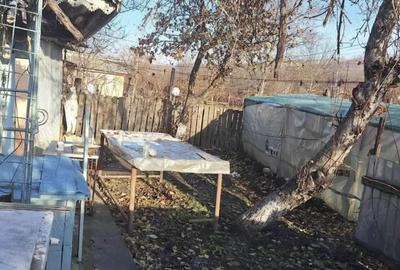 Casă cu 3 camere cu Teren 1900 Mp în Central - 5