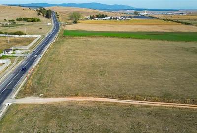 Teren intravilan, 60.000 mp, acces direct la DN1, Codlea, Brasov - 2