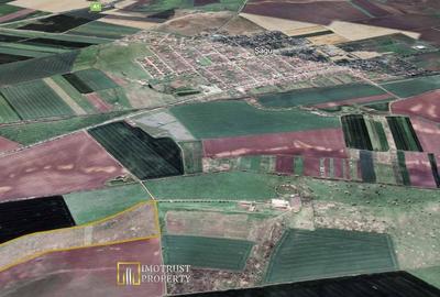Teren agricol 12,28 ha Sagu - acces DN69 & A1, acum 1,38 EUR/m - 3