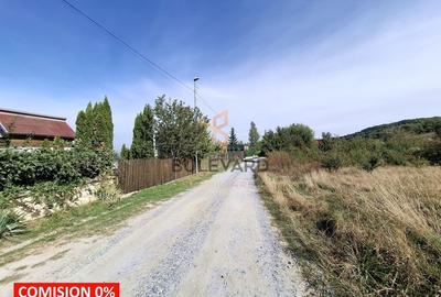 Teren Construcții intravilan de 1000 mp, în Sălicea