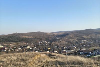 Teren de 510 mp, în Tomești