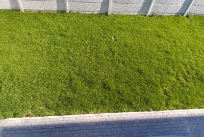 Casa/Vila individuala-200 m de blv./Com.Berceni - 5