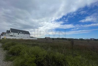 Teren de Otopeni Lidl Teren de Otopeni Lidl - 7