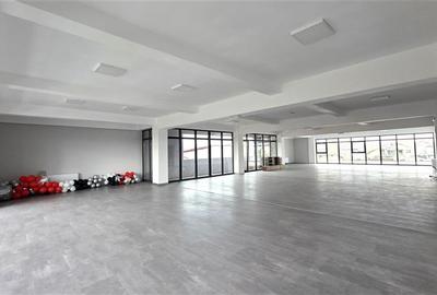 Birou, de 250 mp, în Aurel Vlaicu - 3