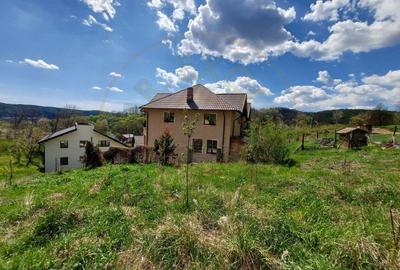 Casa imbratisata de padure - Valea Ursului, Bascov - 20