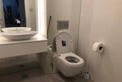 2 camere, terasa 19 mp, Piata Victoriei-Parcul Kiseleff-Pta 1 Mai - 5