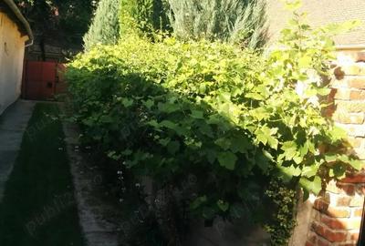 Casa Zona Centrala (Tudor Vladimirescu) - 4