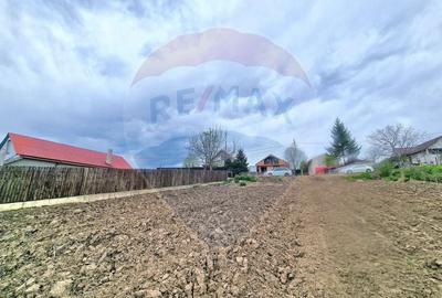 Teren Construcții intravilan de 826 mp, în Luizi-Călugăra - 6