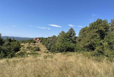 Teren Extravilan in mijlocul naturii. - 8