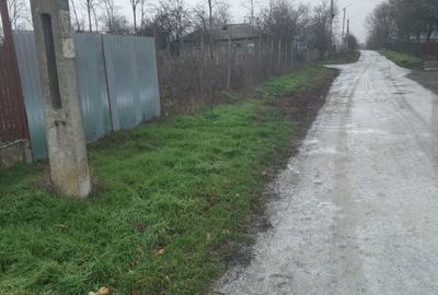 Spațiu comercial, în Rasa - 8