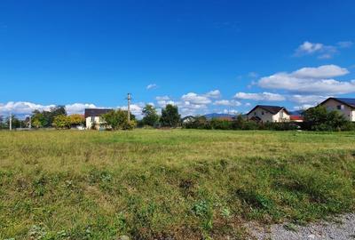 Spațiu comercial, în Cărpiniș - 5