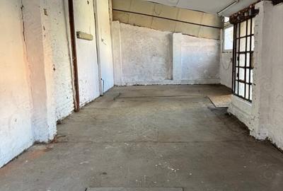 Spațiu comercial, de 52 mp, în Iosefin - 5