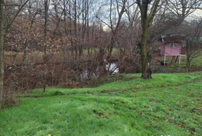 Teren de 5950 mp, în Scorțeni - 11