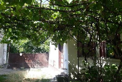 Casă cu 4 camere cu Teren 1130 Mp în Uivar - 1