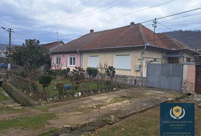Casă cu 3 camere cu Teren 870 Mp în Văliug
