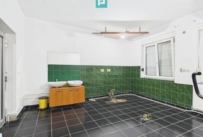 Casă individuală cu teren,  Andrei Șaguna -Traian - 27