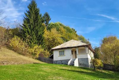 Casă cu 3 camere în Iedera - 3