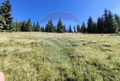 Teren de 47732 mp, în Panaci - 10