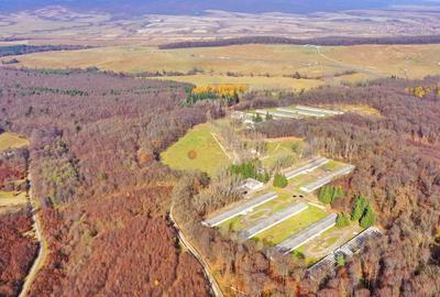 Teren Intravilan - Amplasare Unica - 12