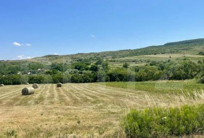 Teren de 2094 mp, în Chinteni - 5