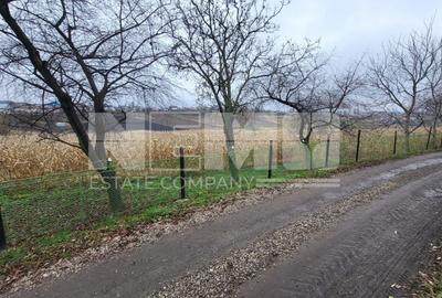 Teren agricol extravilan de 2000 mp, în Moara - 3