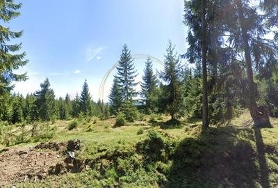 Terenuri cu PUZ, 700 - 1000+ mp, in Marisel, la 400 m de partia de Ski - 4