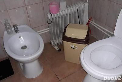 Casă cu 4 camere cu Teren 5000 Mp în Valea Mărului - 2