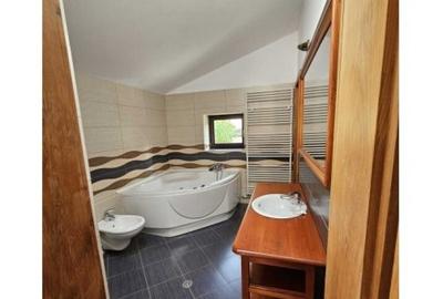 Viila 7 camere Splaiul Unirii - Nerva Traian - 2