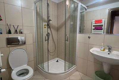 Apartament cu 3 camere decomandat, mobilat în Herăstrău - 16