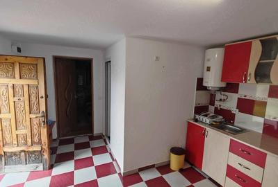 Casă cu Teren 1528 Mp în Optași - 3