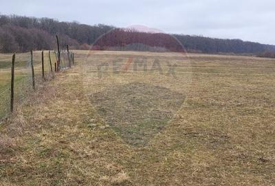 Teren agricol intravilan de 2592 mp, în Lipoveni - 19