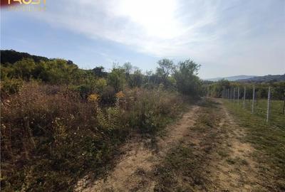 Teren extravilan zona - 7