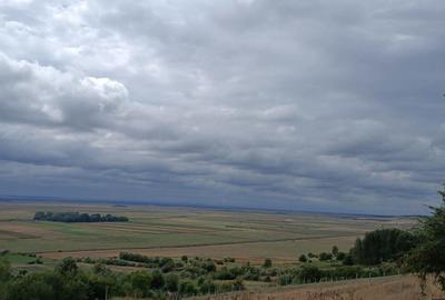 Casă cu 6 camere în Băneasa - 7