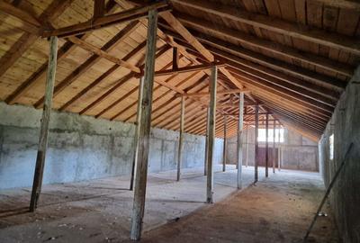 Spațiu comercial, de 530 mp, în Albeni