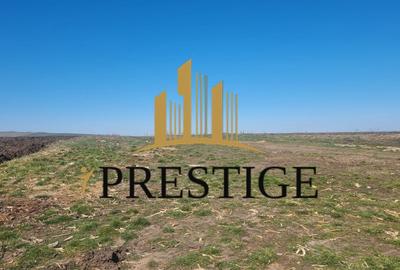 Teren Construcții intravilan de 420 mp, în Șura Mică - 3