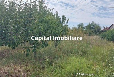 Casă cu 8 camere cu Teren 5000 Mp în Bengești - 13