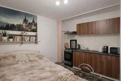 Garsonieră semidecomandată în Sălaj - 7