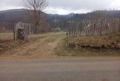 Teren de 2800 mp, în Dofteana - 5