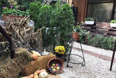 Complex Hotelier 4 stele, 1480 mp utili, teren 1380 mp, Timi - 15