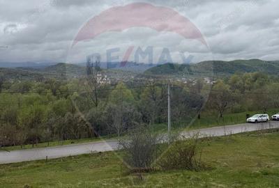 Teren de 4780 mp, în Vad - 5