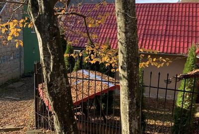 Casă cu 3 camere în Pădurea Neagră - 2