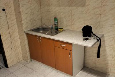 TEI Teiul Doamnei.bl.1984, 2/8,DECOMANDAT, 2bai,bucatarie mare patrata,AMENAJAT - 7