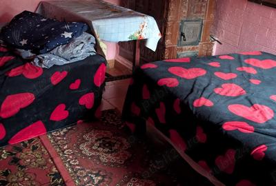 Casa de vanzare Rosiori de Vede - 4