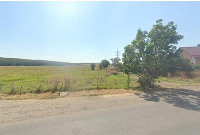 Teren intravilan, pe 5.800 mp, cu vedere frumoasa,in localitatea Reghin. - 3