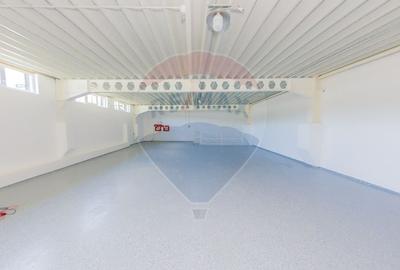 LUX! De inchiriat SPATIU COMERCIAL cu birouri, magazie si acces TIR - 12