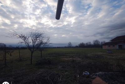 Satulung 17 km de Baia Mare, vindem gospodarie traditionala cu 26 ari - 5