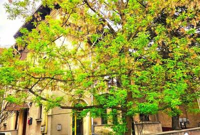 Apartament cu 3 camere decomandat în Aviatorilor - 1